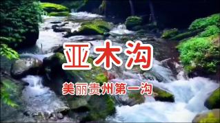 【楚天评】东湖评论:打好“组合拳”,护航湖北数字经济发展